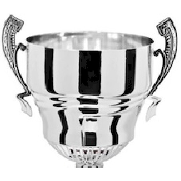 Immagine di 3/4 SANTENA SILVER D. 240 LINEARE