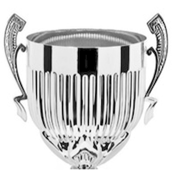 Immagine di 3/4 CONO "2E55" SILVER 180 LINEARE